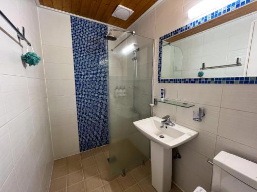 a bathroom with a sink and a glass shower at Green Narae Pension in Seogwipo