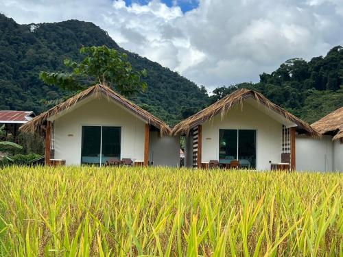 a house in the middle of a field of grass at สะปันดีวิว Sapan Dee View บ่อเกลือ น่าน in Ban Huai Ti