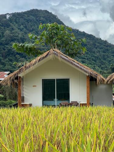 a small house with a thatched roof in a field at สะปันดีวิว Sapan Dee View บ่อเกลือ น่าน in Ban Huai Ti