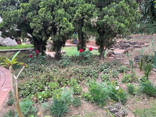 a garden with flowers and trees in a park at Oak Tree Lodge, Beaulieu, Kyalami in Midrand