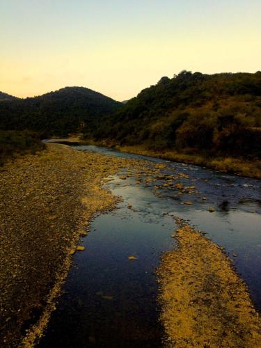 a river in the middle of a valley with trees at Jungle Monkey Backpackers in Port St Johns