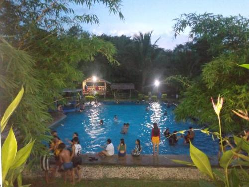 eine Gruppe von Personen in einem Pool in einem Resort in der Unterkunft Sevilleja's farm danglas abra in Bangued