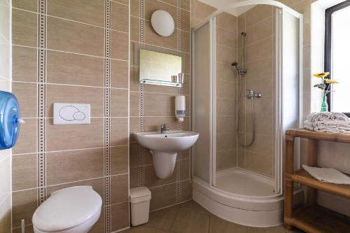 a bathroom with a toilet and a sink and a shower at Apartmán A5 pro 3 osoby - Monínec - celoročně in Moninec