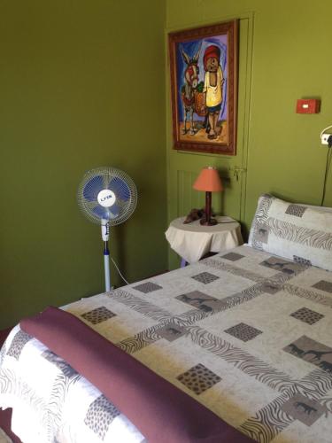 a bedroom with a bed and a fan at Jungle Monkey Backpackers in Port St Johns