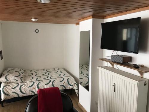 een slaapkamer met een bed en een flatscreen-tv bij Studio 1 à 4 pers, proche Strasbourg, Europa-Park, Colmar in Erstein