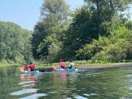 a group of people in kayaks on a river at Skadar lake house Bobija in Podgorica