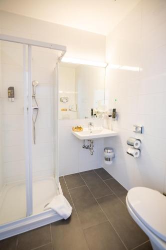 a bathroom with a shower and a sink and a toilet at Hotel Marc Aurel in Petronell
