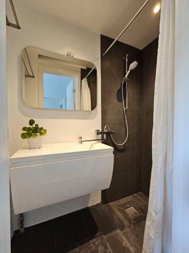 Et badeværelse på Lejlighed med altan og gratis parkering