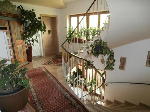 a hallway with a staircase with potted plants at B&B - Apartments Sunnwies in Marlengo