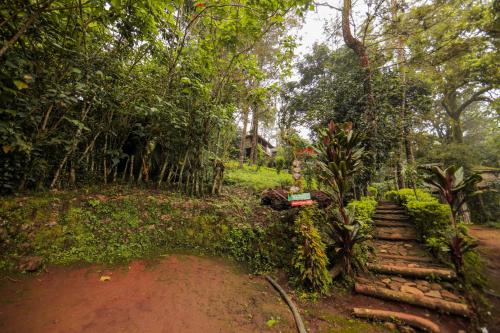 a dirt road in the middle of a forest at Nature Zone Jungle Resort in Munnar
