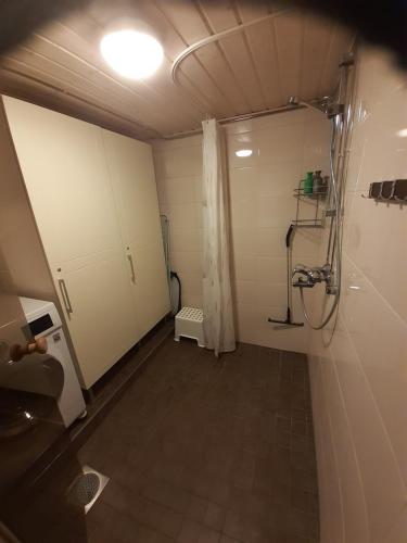 Koupelna v ubytování Rovaniemi City Penthouse
