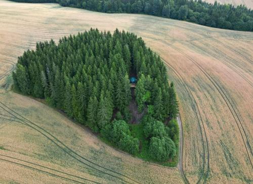 Naturlandschaft in der Nähe der Pension