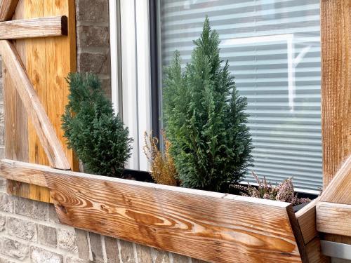 a window box with three pine trees in it at Speicherhäuschen Maike in Geeste