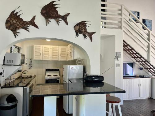 a kitchen with a counter with fish decals on the wall at Anchor Drift in St Francis Bay