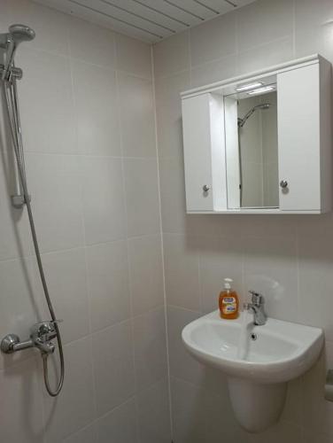 ein weißes Badezimmer mit einem Waschbecken und einem Spiegel in der Unterkunft Gradina Apartment in Montana