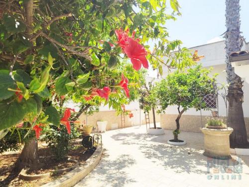 une cour avec des arbres et des fleurs rouges. dans l'établissement Villa Miranda con ampio giardino, à Marina di Mancaversa