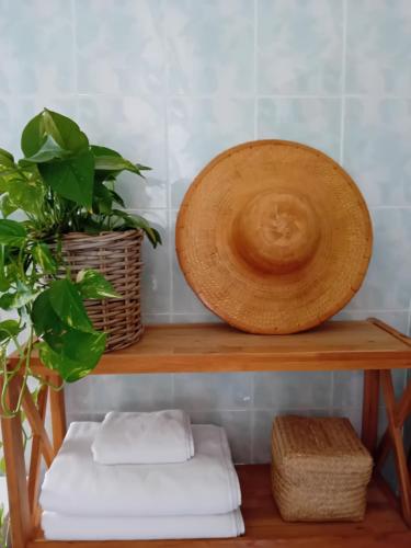 a wooden shelf with two plants and a bowl at Domu Marietta in Pula