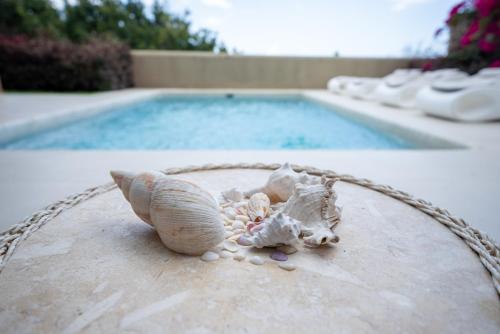 a shell sitting on a table next to a swimming pool at SandBank View Villa - Private Pool- ZanzibarHouses in Kiwengwa