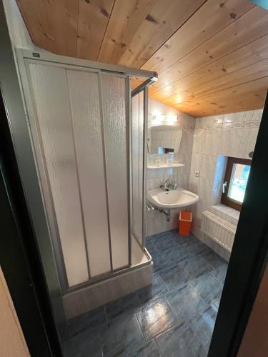 ein Bad mit einer Dusche und einem Waschbecken. in der Unterkunft Ferienhof Wölflbauer in Saalbach-Hinterglemm
