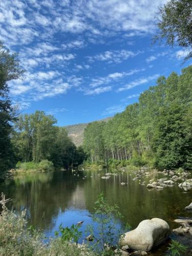 a river with a large rock in the middle at Casa rural Can Jepet in La Cellera de Ter