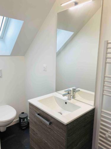 La salle de bains est pourvue d'un lavabo, de toilettes et d'un miroir. dans l'établissement Agréable appartement entièrement refait neuf, à Cherbourg en Cotentin