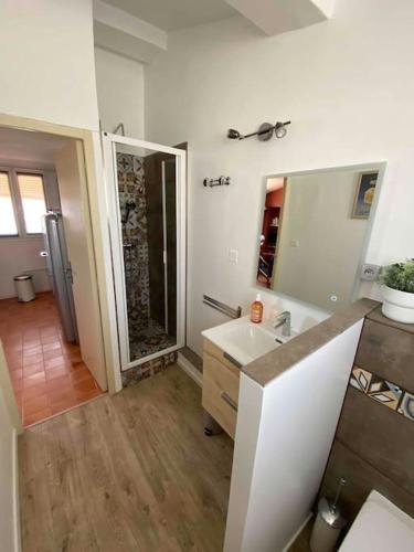 uma casa de banho com um lavatório e um espelho em Le Monclar 2 chambres em Aix-en-Provence