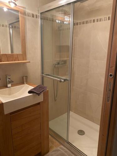 y baño con ducha de cristal con lavabo y ducha. en 2 pièces indépendant avec espace extérieur, en Caux