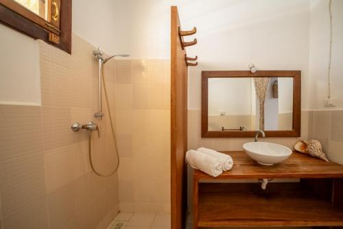 a bathroom with a sink and a mirror and a shower at Beachfront Villa Hideaway ZanzibarHouses in Kiwengwa