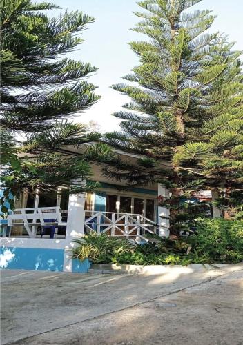 a house with two pine trees in front of it at Tonkaew Khaokao Resort in Campson