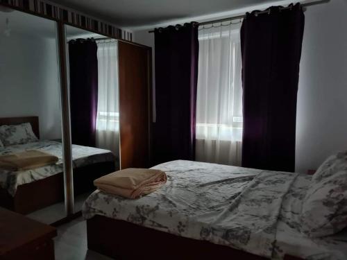 コンスタンツァにあるAna's apartmentの鏡とベッドと鏡付きのベッドルーム1室