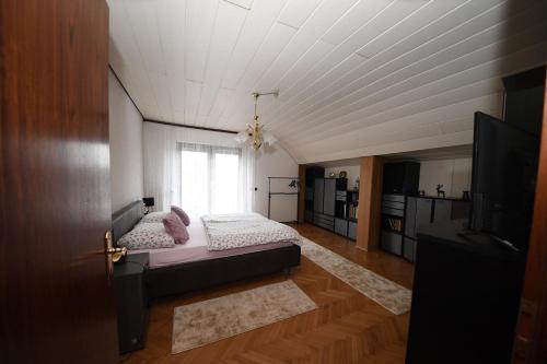 1 dormitorio con 1 cama y TV en una habitación en Stevin ranc, en Bosanska Dubica