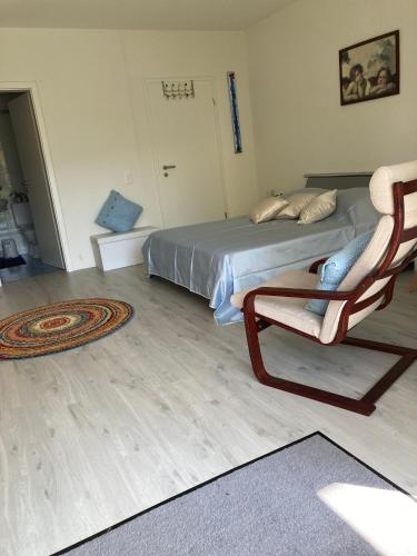 a bedroom with a bed and a chair and a rug at Tarta-Loft in Minusio