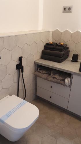 a bathroom with a toilet and a shelf with a bag at Modern top floor loft with balcony in Budapest