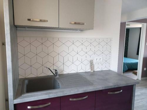 uma cozinha com um lavatório e uma bancada em joli appartement classé 4 étoiles em Saint-Georges-dʼOléron