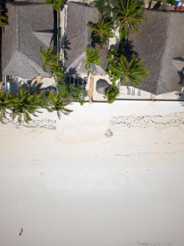 an aerial view of a beach with palm trees at Beachfront Villa Hideaway ZanzibarHouses in Kiwengwa