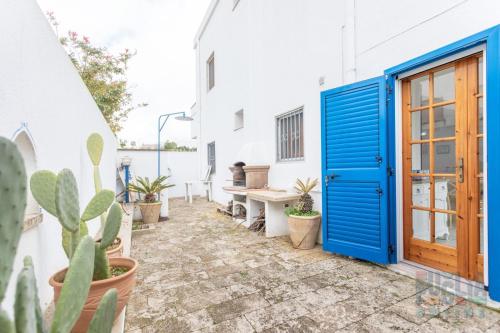 einen Innenhof mit blauer Tür und Kaktus in der Unterkunft Villetta Pisa 2 a Torre Vado in Torre Vado