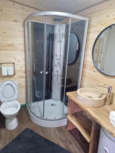 a bathroom with a shower and a toilet and a sink at La Odai in Bran