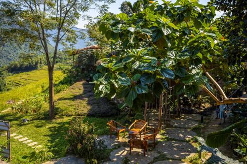 a garden with chairs and a tree at Pu Luong Natura in Pu Luong