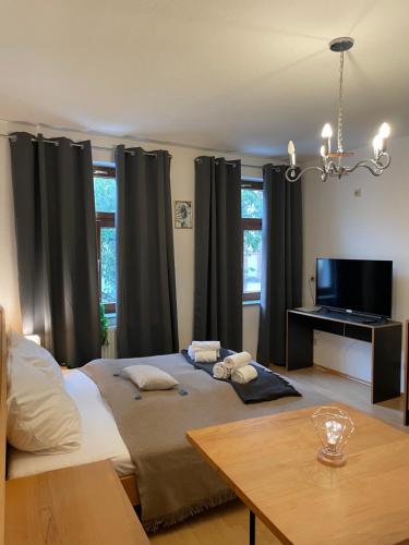 a bedroom with a bed with black curtains and a table at Bording Appartment La Romantica in Fulda