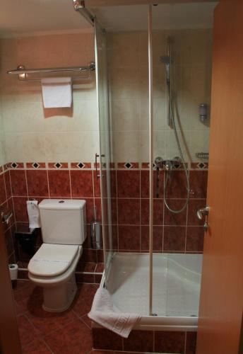 a bathroom with a toilet and a glass shower at Rosengarten Hotel & Restaurant in Sopron