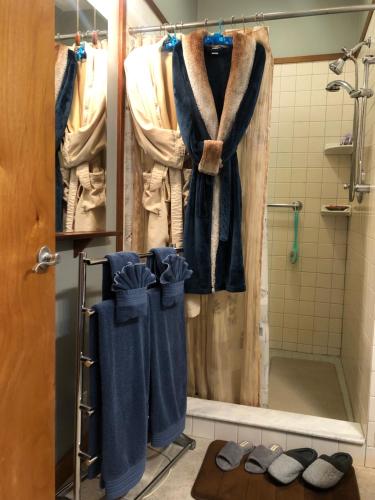 a bathroom with a shower with blue towels at Coppertoppe Inn & Retreat Center in Hebron