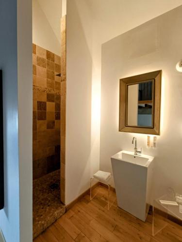 a bathroom with a sink and a shower at Les Chambres De La Renaissance in Sainte-Julie