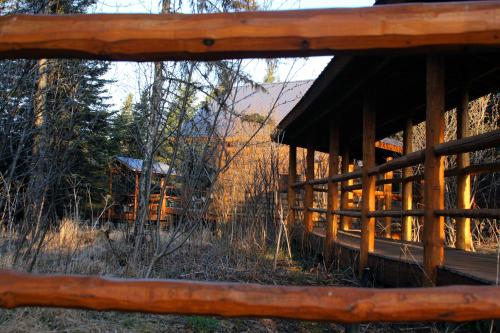 a view of a wooden cabin in the woods at Wise Old Hunter Lodge in Anchor Point