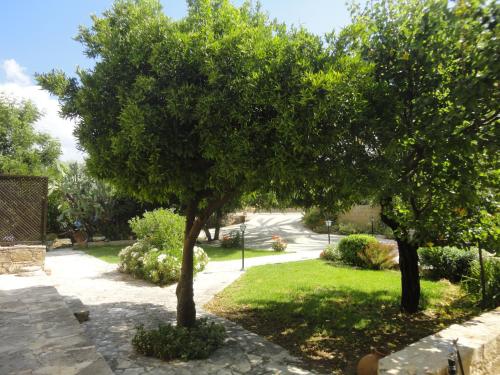 Ein Garten an der Unterkunft Spanos House