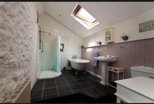 a bathroom with a shower and a sink and a tub at Remarkable 3-Bed Cottage in Ahakista durrus in Ahakista