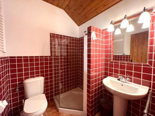 a red tiled bathroom with a toilet and a sink at Apartamento Sol de Espot - L'Amfitriona in Espot