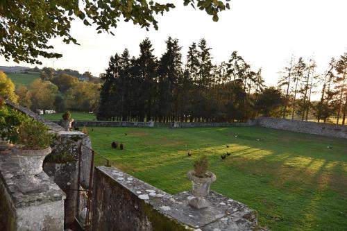 a field of grass with animals in a field at La Chambre Verte - Château de la Chauvelière in Joué-sur-Erdre