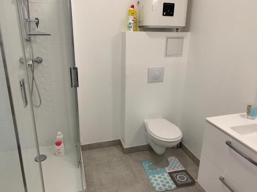 une salle de bain avec une douche, des toilettes et un lavabo dans l'établissement Room in Toulouse - T2 Toulouse Saint Martin du Touch, à Toulouse