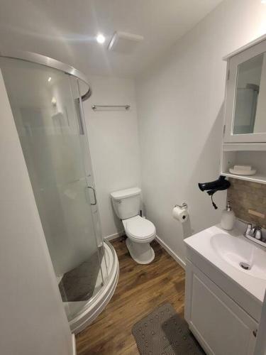 a bathroom with a shower and a toilet and a sink at Bright apartment close to hwy in Edmundston