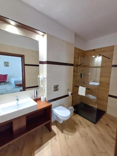 a bathroom with a sink and a toilet and a mirror at Villa Intryga in Słupsk